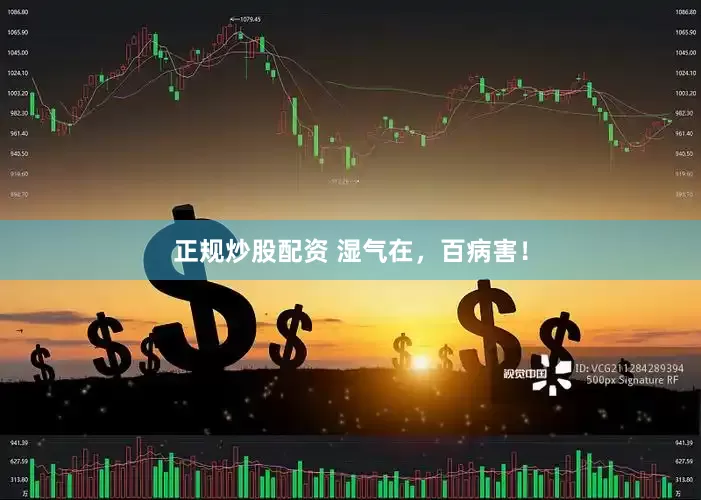 正規(guī)炒股配資 濕氣在，百病害！