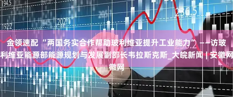 金領(lǐng)速配 “兩國務(wù)實合作幫助玻利維亞提升工業(yè)能力” ——訪玻利維亞能源部能源規(guī)劃與發(fā)展副部長韋拉斯克斯_大皖新聞 | 安徽網(wǎng)