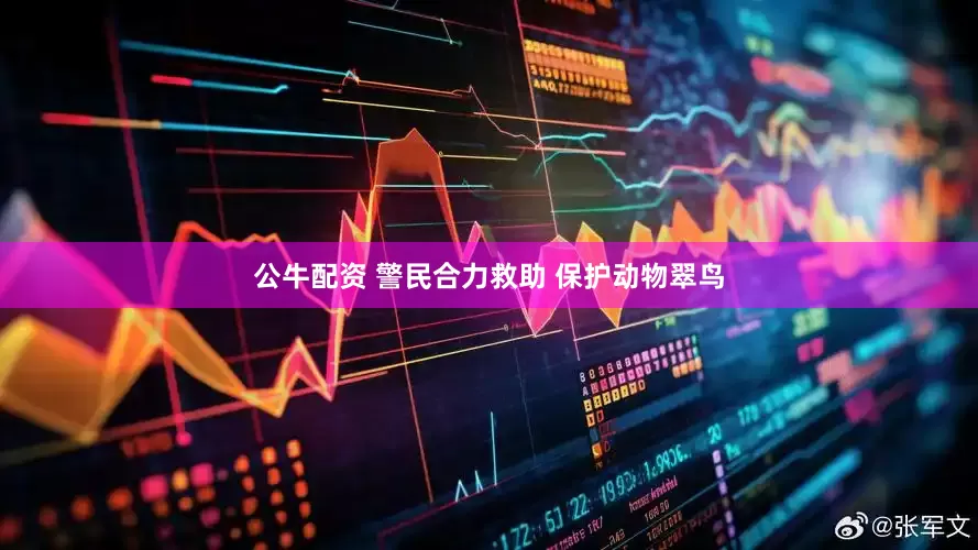 公牛配資 警民合力救助 保護(hù)動(dòng)物翠鳥(niǎo)