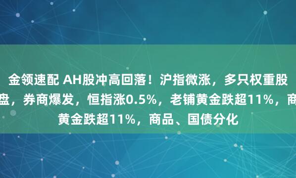 金領(lǐng)速配 AH股沖高回落！滬指微漲，多只權(quán)重股尾盤(pán)競(jìng)價(jià)遭拋盤(pán)，券商爆發(fā)，恒指漲0.5%，老鋪黃金跌超11%，商品、國(guó)債分化
