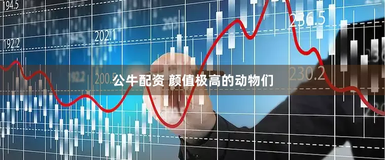 公牛配資 顏值極高的動(dòng)物們